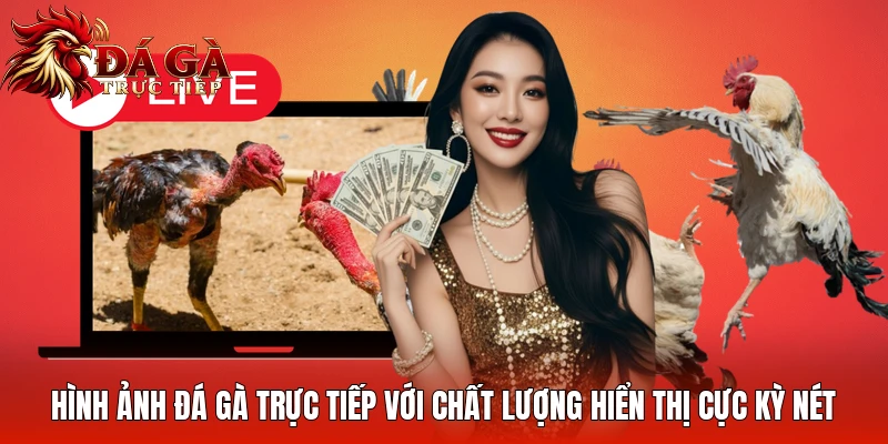 Hình ảnh daga trực tiếp với chất lượng hiển thị cực kỳ nét Hình ảnh daga trực tiếp với chất lượng hiển thị cực kỳ nét
