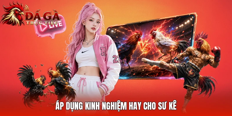 Áp dụng kinh nghiệm hay cho sư kê
