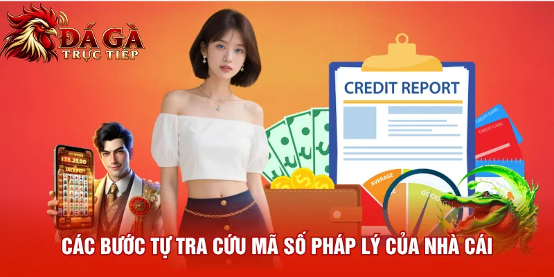 Các bước tự tra cứu mã số pháp lý của nhà cái