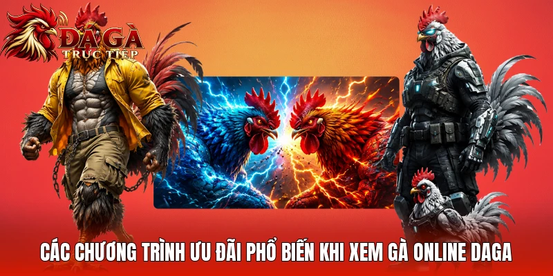 Các chương trình ưu đãi phổ biến khi xem gà online Daga