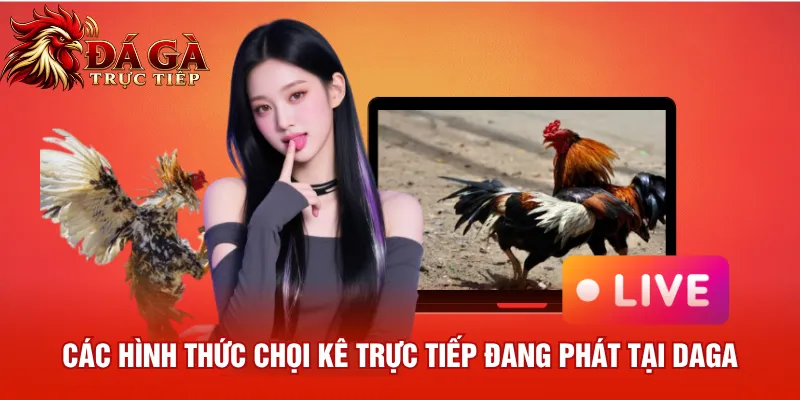 Các hình thức chọi kê trực tiếp đang phát tại Daga