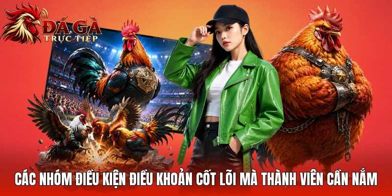 Các nhóm điều kiện điều khoản cốt lõi mà thành viên cần nắm