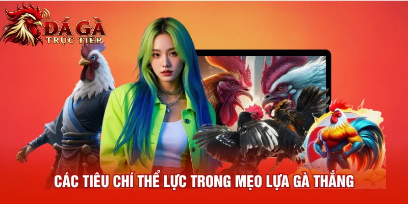 Các tiêu chí thể lực trong mẹo lựa gà thắng