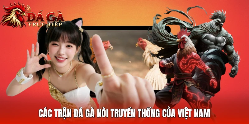 Các trận đá gà nòi truyền thống của Việt Nam