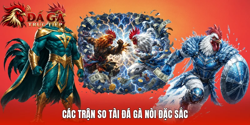 Các trận so tài đá gà nòi đặc sắc