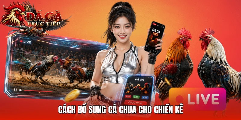 Cách bổ sung cà chua cho chiến kê