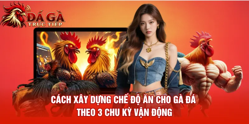 Cách Xây Dựng Chế Độ Ăn Cho Gà Đá Theo 3 Chu Kỳ Vận Động