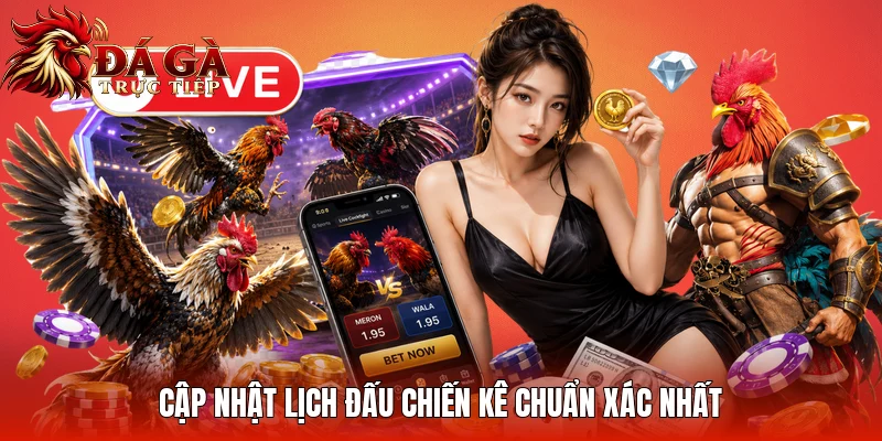 Cập nhật lịch đấu chiến kê chuẩn xác nhất