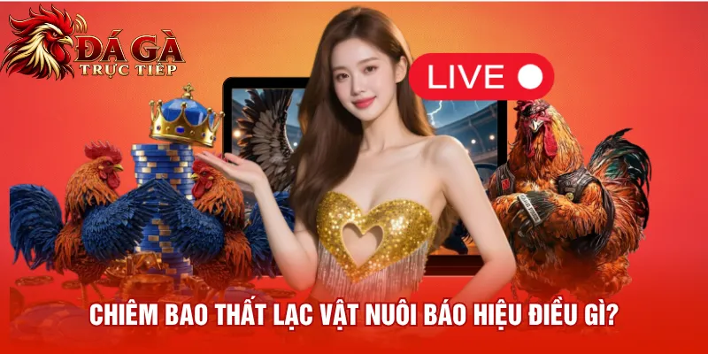 Chiêm bao thất lạc vật nuôi báo hiệu điều gì?