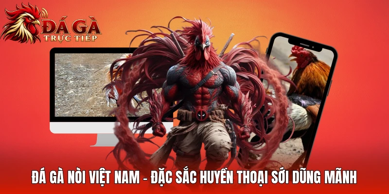 Đá Gà Nòi Việt Nam - Đặc Sắc Huyền Thoại Sới Dũng Mãnh
