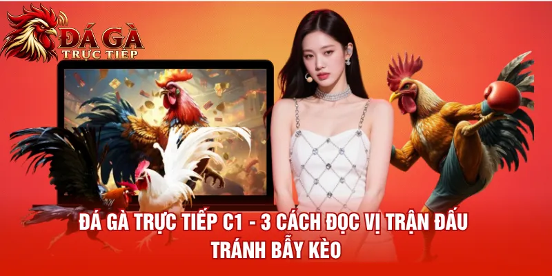 Đá Gà Trực Tiếp C1 3 Cách Đọc Vị Trận Đấu Tránh Bẫy Kèo