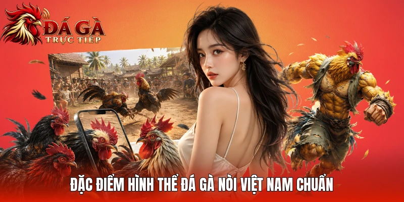 Đặc điểm hình thể đá gà nòi Việt Nam chuẩn