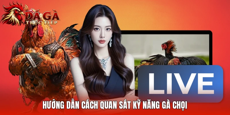 Hướng dẫn cách quan sát kỹ năng gà chọi