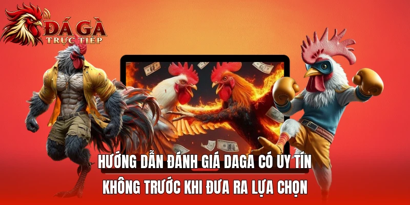 Hướng dẫn đánh giá Daga có uy tín không trước khi đưa ra lựa chọn
