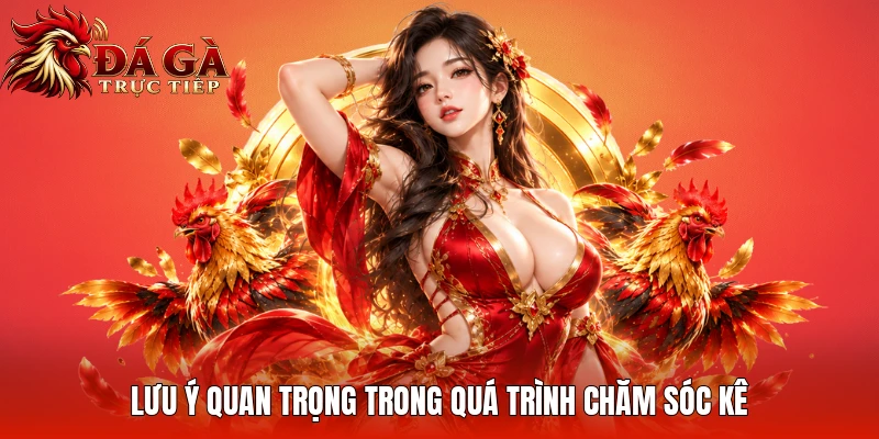 Lưu ý quan trọng trong quá trình chăm sóc kê