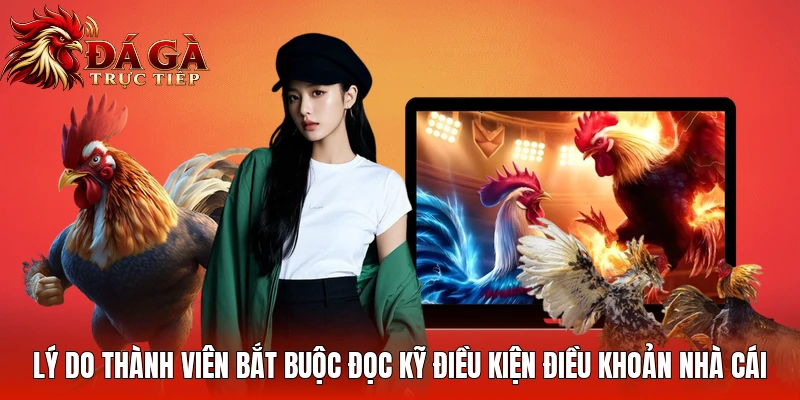 Lý do thành viên bắt buộc đọc kỹ điều kiện điều khoản nhà cái