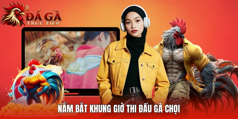 Nắm bắt khung giờ thi đấu gà chọi