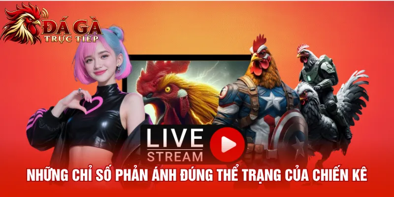 Những chỉ số phản ánh đúng thể trạng của chiến kê